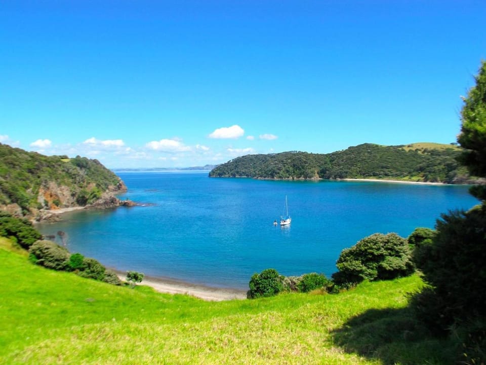 Vienna Motel Hotel in Paihia