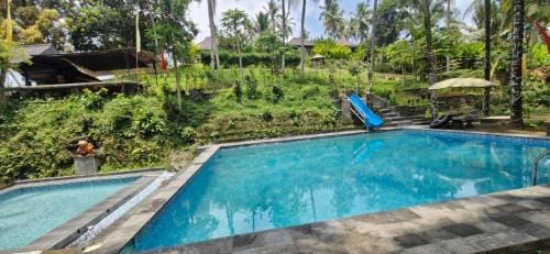 The Hidden Gem of Jembrana Bali Hotel in Bali