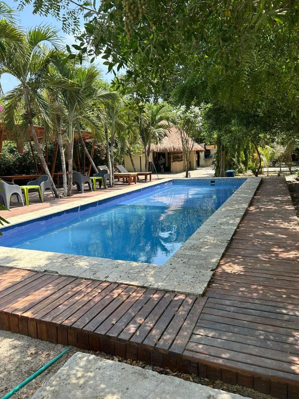Mango Tree Island 420 Hostel in Bolivar
