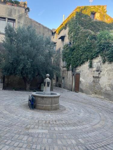 Beautiful home in the historic Center of Uzes Lodge in Uzes
