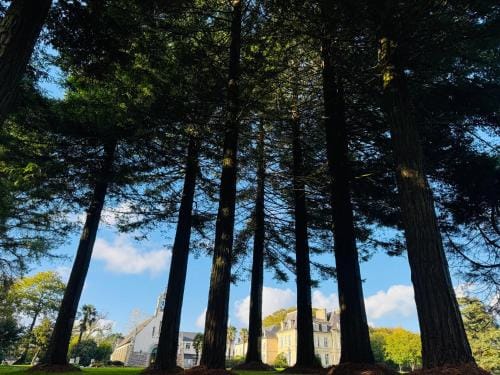Hebergement Centre Missionnaire Saint Jacques Hotel in Finistere