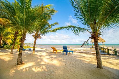 Blue Tang Beach House at Ocean’s Edge -Gold Standard Certified Hotel in Stann Creek District