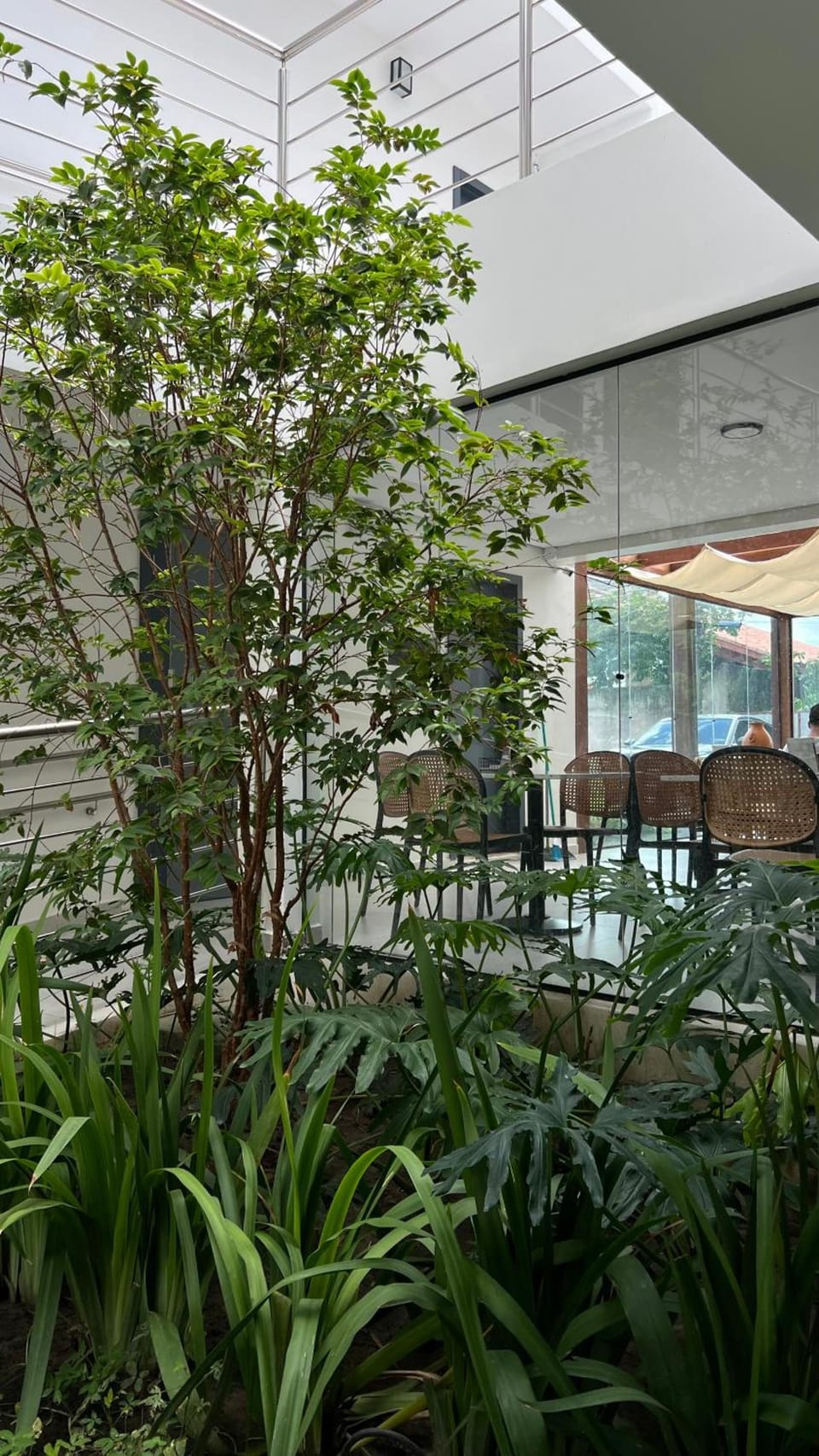 Belaris COMFORT Hotel in São Luís