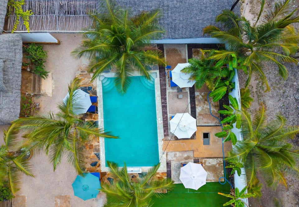Palm Cultural Village Hotel in Tanzania