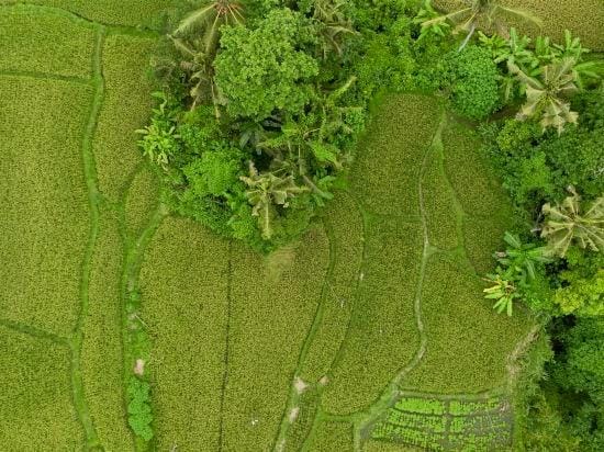Garden Villas Ubud by BREIG Resort in Abiansemal