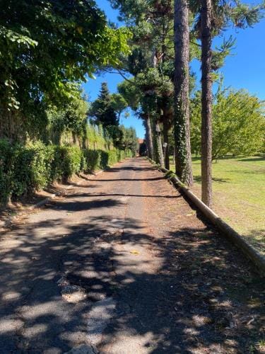 Struttura Religiosa Via Francigena Velletri Hostel in Lazio