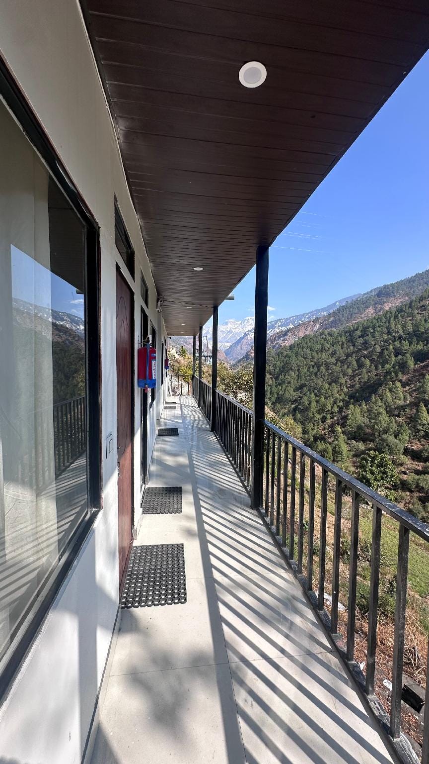 View