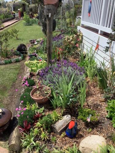 Puti Puti BNB Hotel in Northland