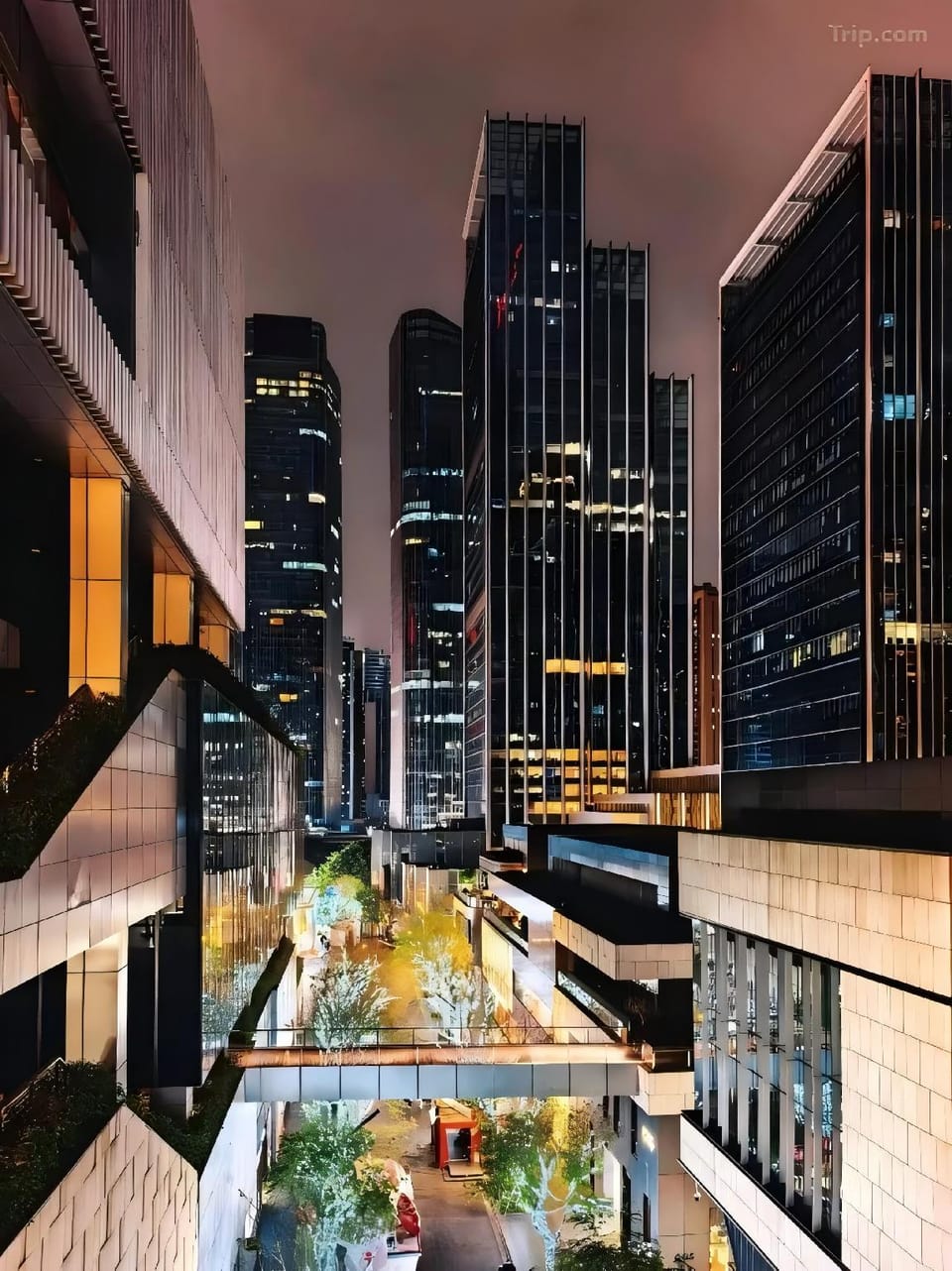 ShenZhen Platinum Collection Service Apt Apartment hotel in Shenzhen