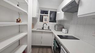 Earls Court 2 Bedroom Teraced Flat Hotel in City of Westminster
