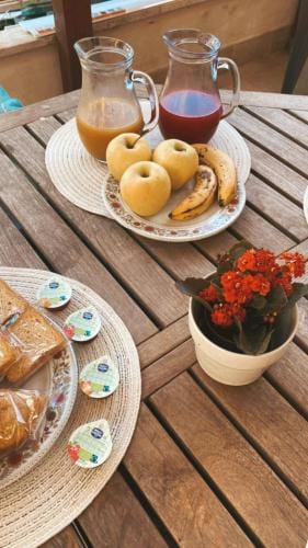 B&B Le Camelie Hotel in Nettuno