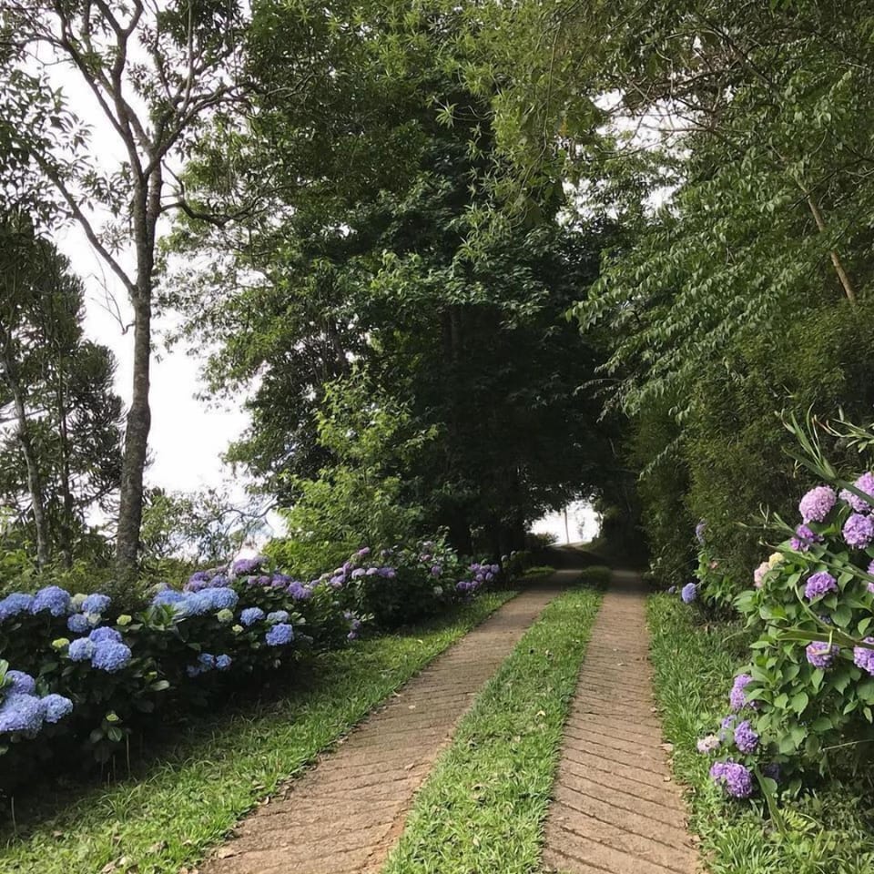 Jardim Suspenso da Babilônia Hotel in State of São Paulo