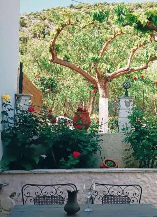 Rose Hedge Hotel in Crete