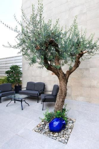 Harmonia B&B Hotel in Campania
