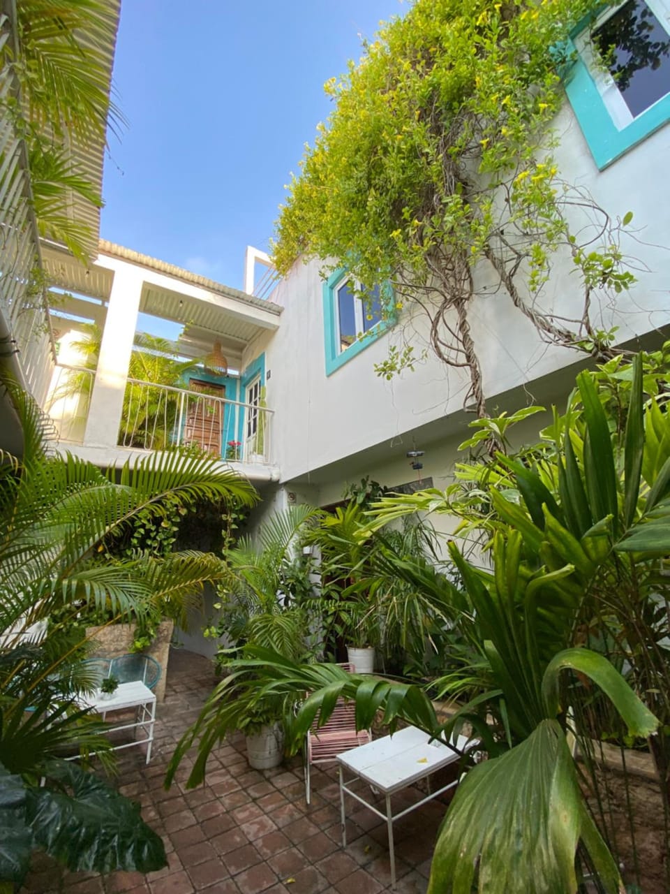 Hotel La Piazzetta Hotel in Merida