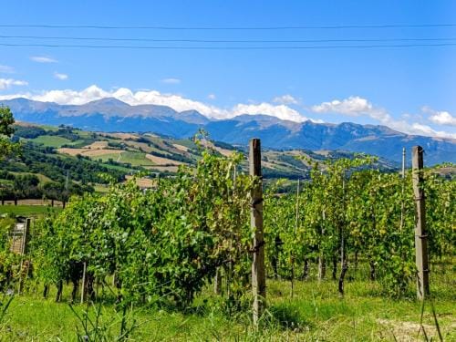 Casetta Mentuccia Hotel in Marche
