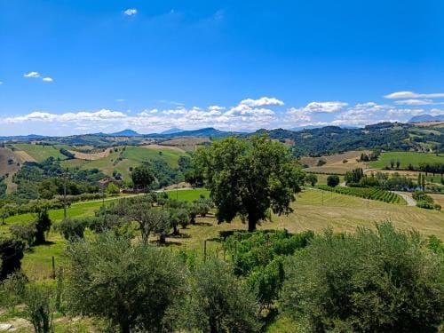 Casetta Mentuccia Hotel in Marche