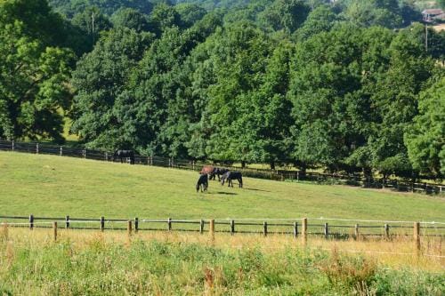 Cite Pontavice du Haras national du Pin Hotel in Normandy