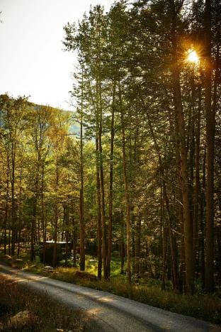 Postcard Cabins Ozark Highlands, Outdoor Collection by Marriott Bonvoy Hotel in Ozark Mountains