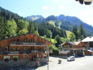 Apartment Perthuis in Chatel Hotel in Châtel