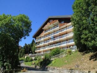 Apartment with parking in Chatel Hotel in Châtel