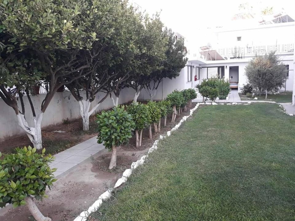 Andavis Hotel Hotel in Kardamena