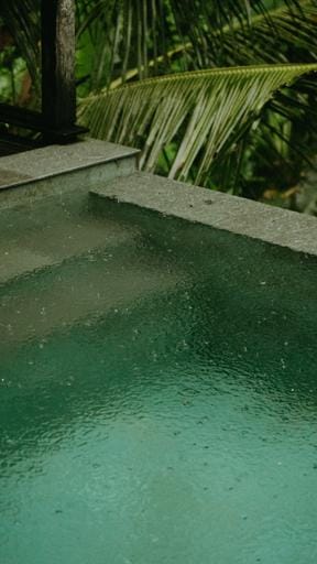 ELForest Boutique Residential Sanctuary Hotel in Payangan