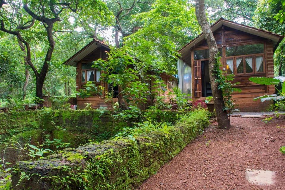 Namaste Jungle Hotel in Goa, India