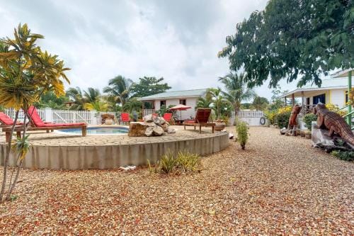 Green Iguana at Latitude Adjustment -Gold Standard Certified Hotel in Hopkins