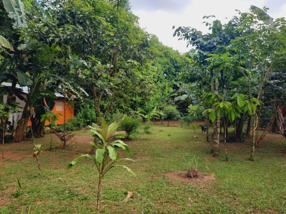corcovado green parrot Hotel in Puntarenas Province