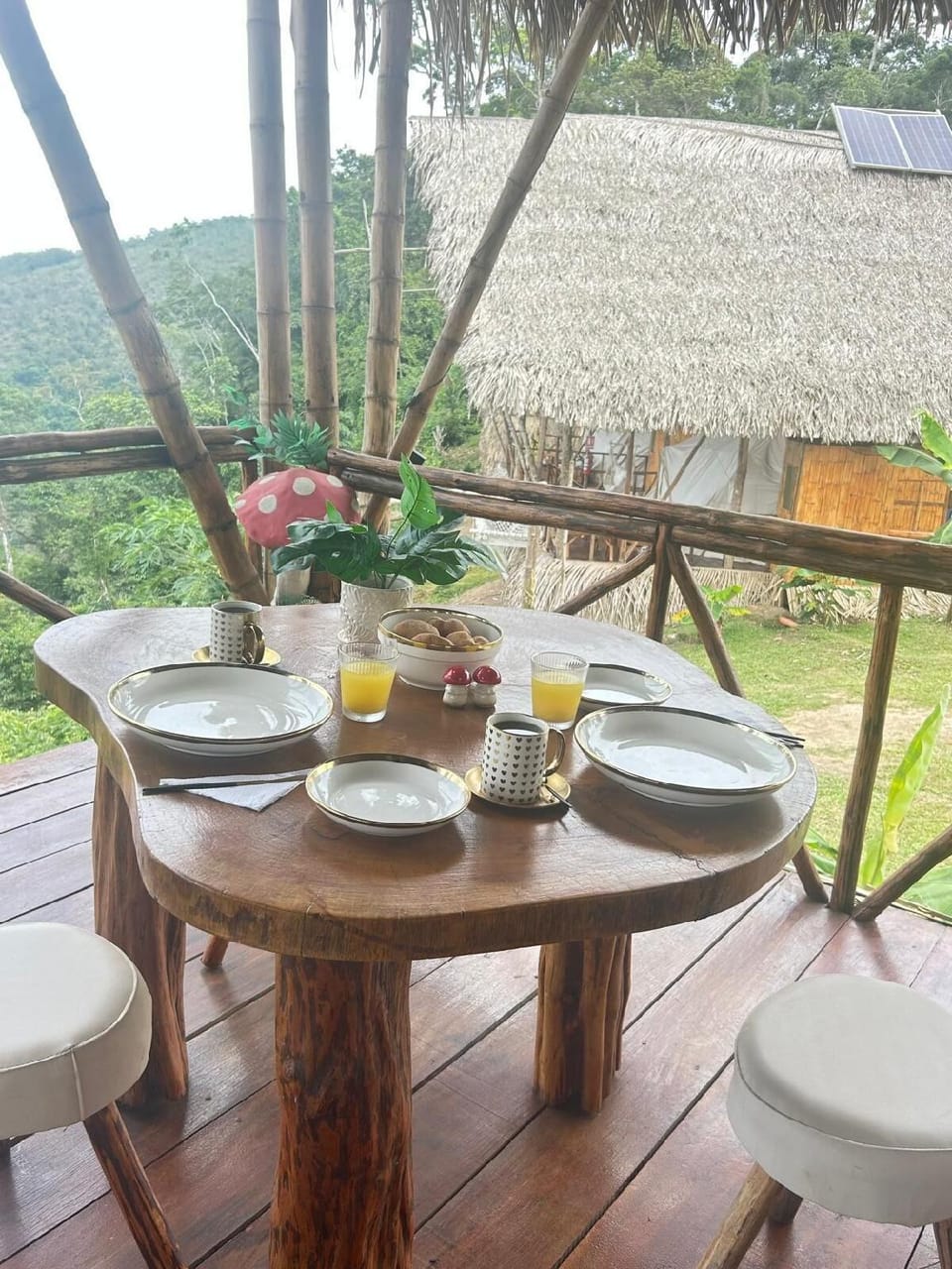 Renaco Glamping Hotel in San Martin, Peru