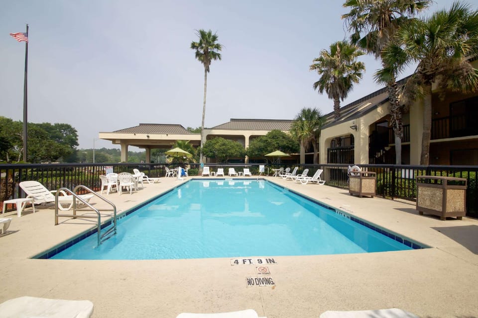 Swimming pool [outdoor]