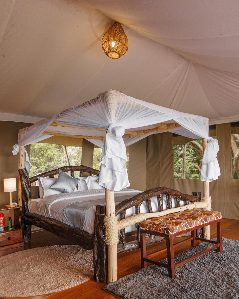 enchipai Mara Luxury Camp Hotel in Kenya