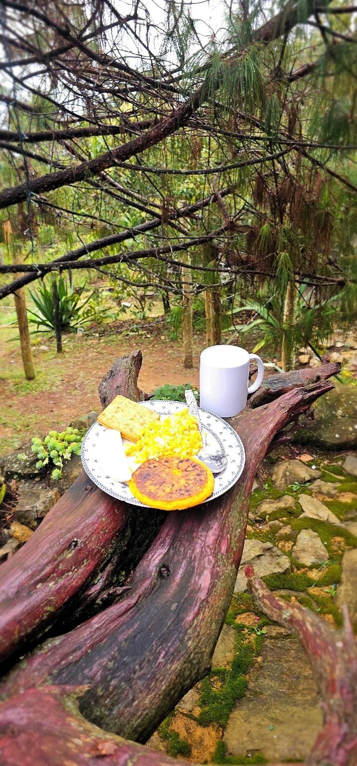 Glamping Volver a la Tierra Hotel in Medellin
