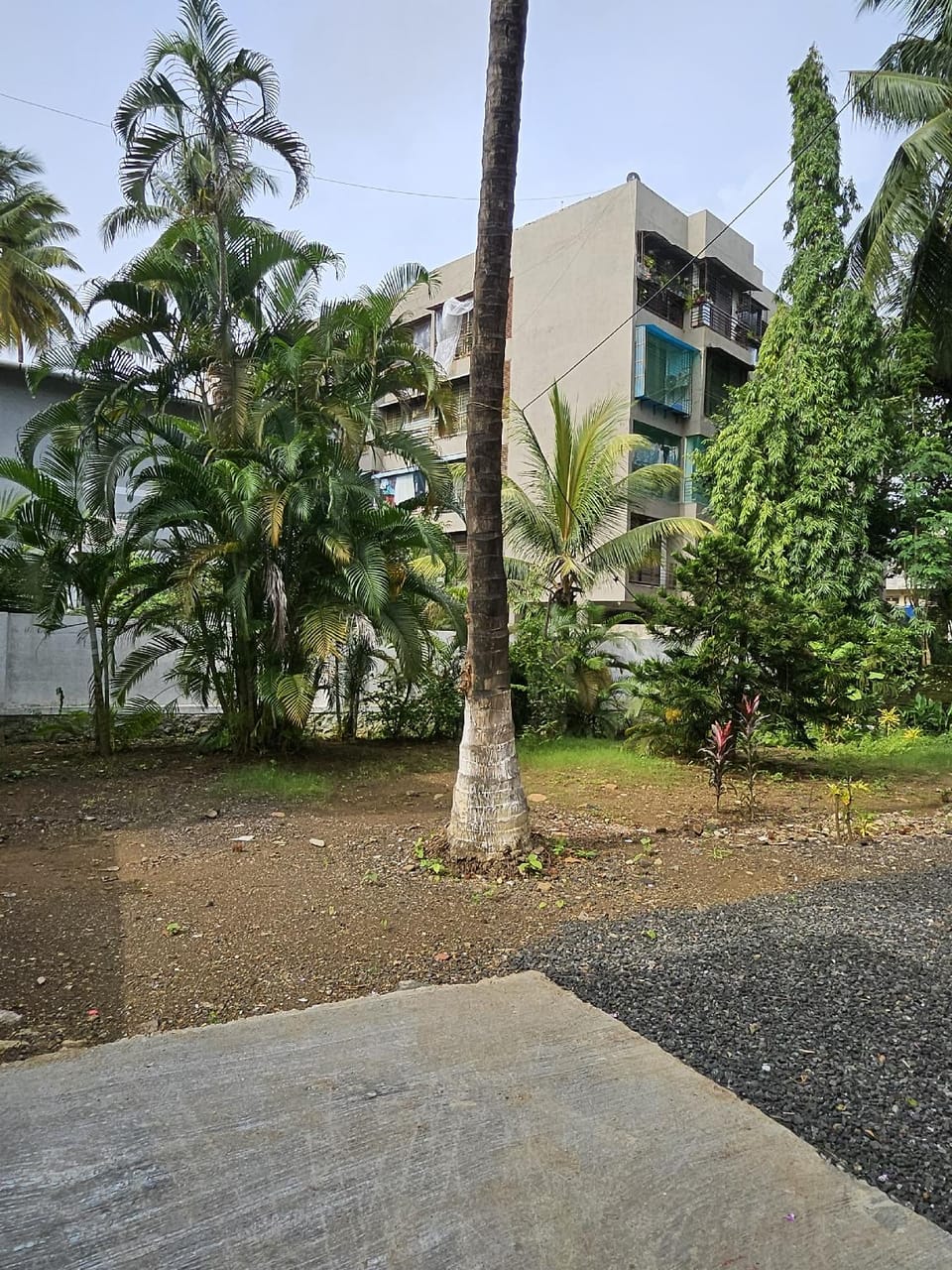 Exterior view