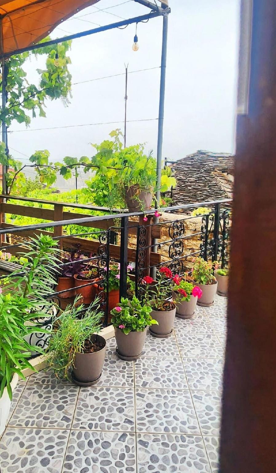 Silver Hill Guesthouse Hotel in Vlorë County, Albania