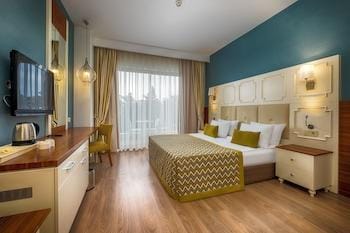 Well Palace Side - All Inclusive Hotel in Side