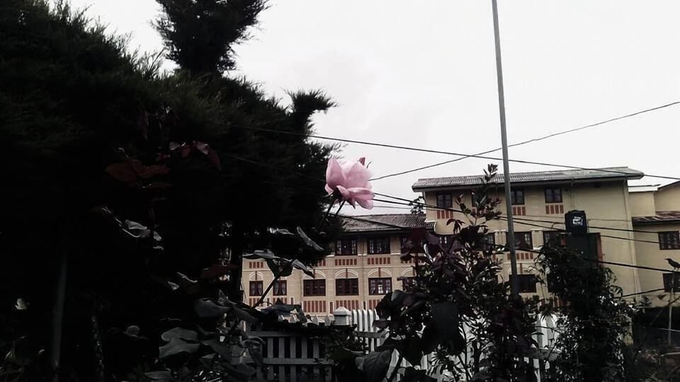 Maggies Cottage NuwaraEliya Hotel in Nuwara Eliya