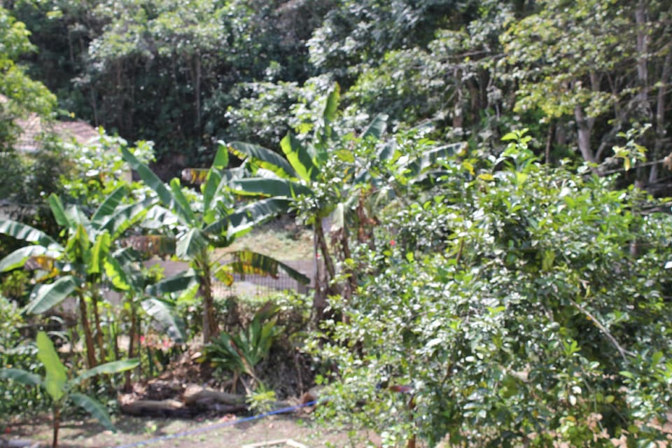 ritashomeawayfromhome Hotel in Ocho Rios