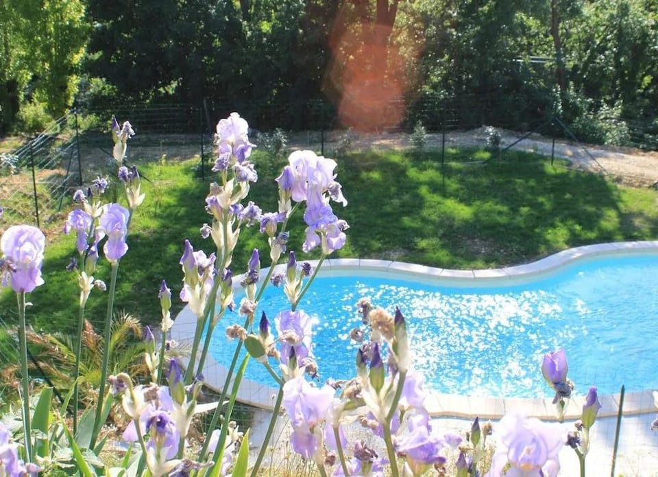 Chez Elise et Gabriel Hotel in Provence