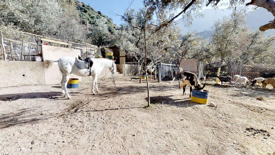 Ferme By Ikalimo Hotel in Marrakesh-Safi