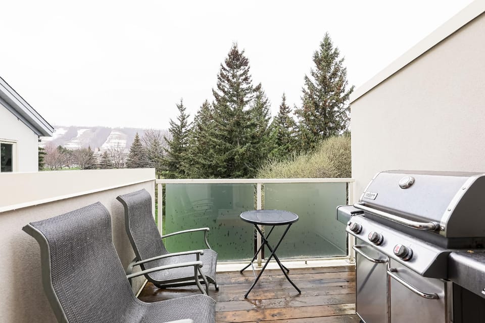 Sierra Lane Condos Hotel in Grey Highlands