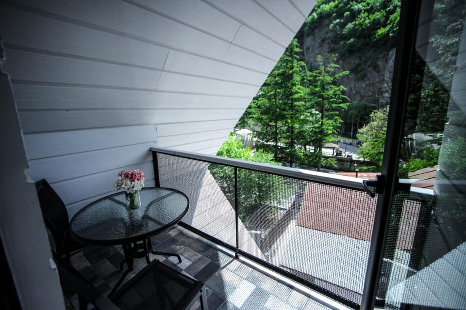 Borjomi UnderWood Hotel in Georgia