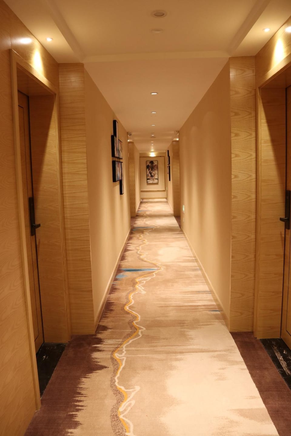 ST. MORITZ BUSINESS HOTEL Hotel in Phnom Penh Province