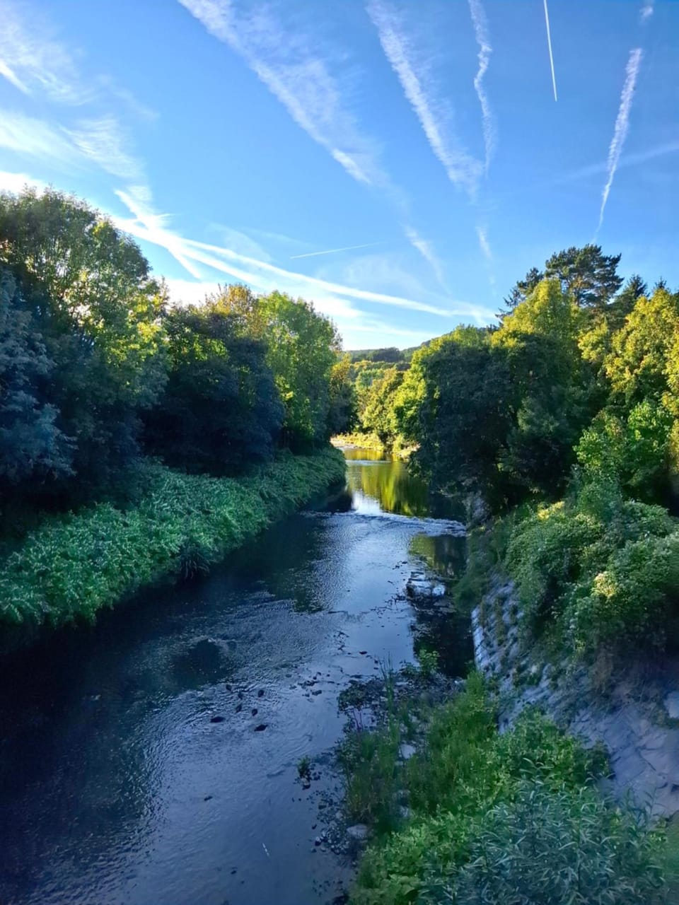 Surrounding environment