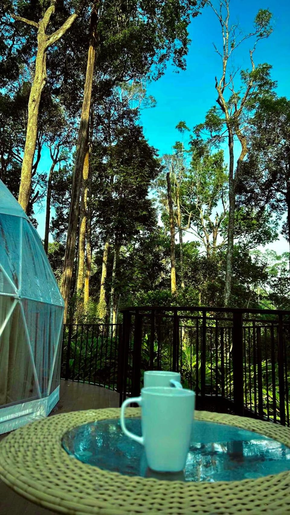 The Edens Glamp Munnar Resort in Kerala