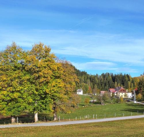 Ferienhaus Riegler Hotel in Carinthia, Austria