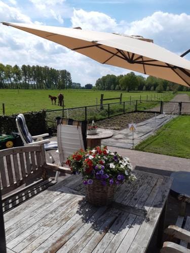 De Weije Wereld Hotel in North Brabant (province)