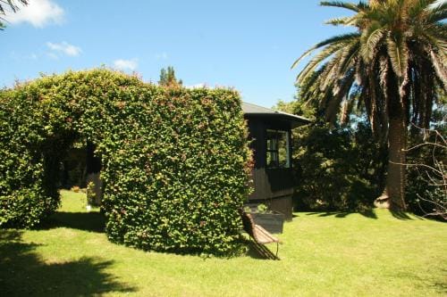The Sauna Chalet Hotel in Waikato