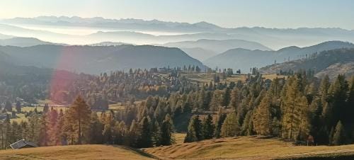 Golf Hotel Carezza Hotel in Trentino-South Tyrol